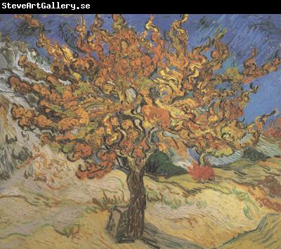 Vincent Van Gogh The Mulberry Tree (nn04)